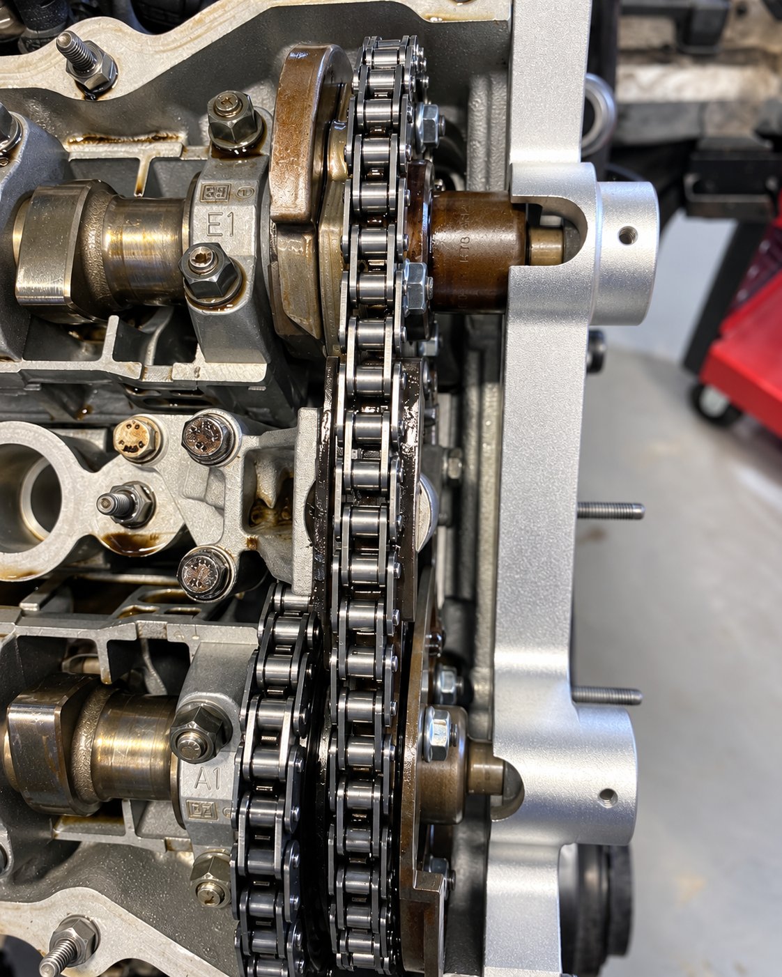 Close-up of the BMW timing chain on the cam gears with the locking tool